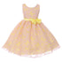 Kids Dream Big Girls Pink Yellow Butterfly Burnout Organza Easter Dress 8-12 - SophiasStyle.com